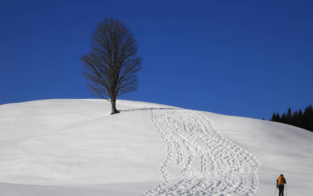 Spuren in den Schnee stapfen: Winterwandern im Schwarzwald - Natur- & Sporthotel Zuflucht