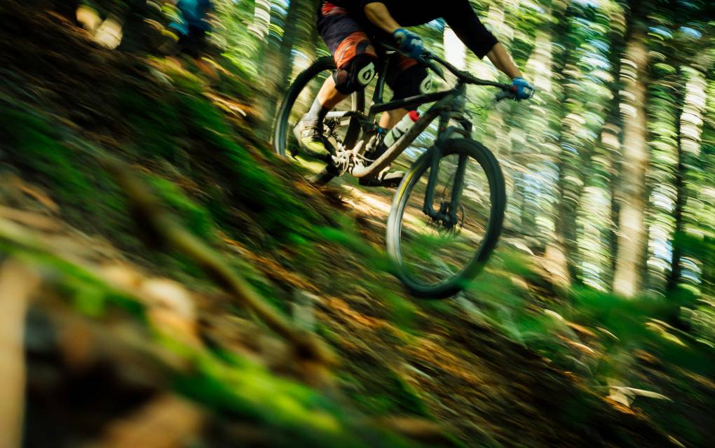 Wo Höhenmeter belohnen: Mountainbiken - Natur- & Sporthotel Zuflucht