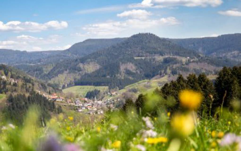 Kleiner Ort, viele Möglichkeiten: Bad Peterstal-Griesbach erleben - Natur- & Sporthotel Zuflucht