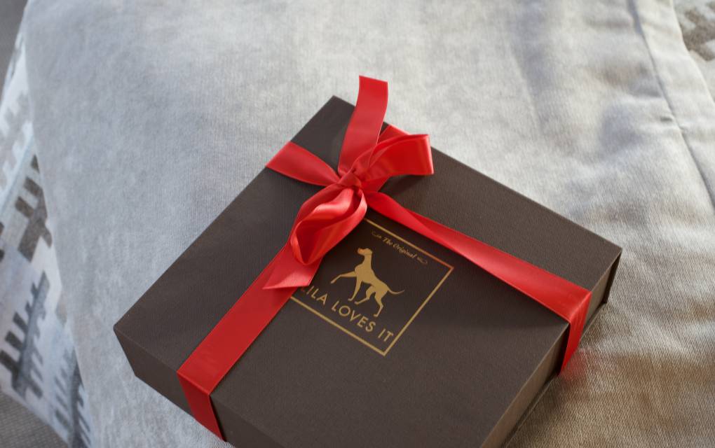 Ein kleines Extra für treue Begleiter: Goodies für Gäste auf vier Pfoten - Natur- & Sporthotel Zuflucht