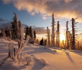 Loipen, Skilift, Schneeschuhe – direkt vor der Tür: Winter, wie er sein sollte - Natur- & Sporthotel Zuflucht