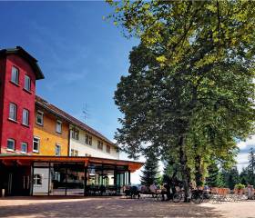 Freudenstadt blüht auf: Gartenschau 2025 - Natur- & Sporthotel Zuflucht