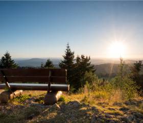 Raum für neue Gedanken: Tagen in der Natur - Natur- & Sporthotel Zuflucht