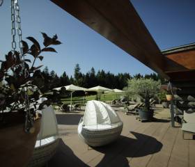 Infinity Pool. Schwarzwaldblick. Stille.: Schwerelose Auszeit - Natur- & Sporthotel Zuflucht