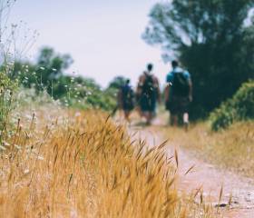 Losgehen. Durchatmen. Ankommen.: Wandern mit Weitblick - Natur- & Sporthotel Zuflucht