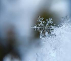 Weitere Skigebiete in der Umgebung: Noch mehr Schneespaß - Natur- & Sporthotel Zuflucht