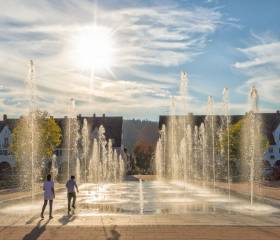 Freudenstadt blüht auf: Gartenschau 2025 - Natur- & Sporthotel Zuflucht